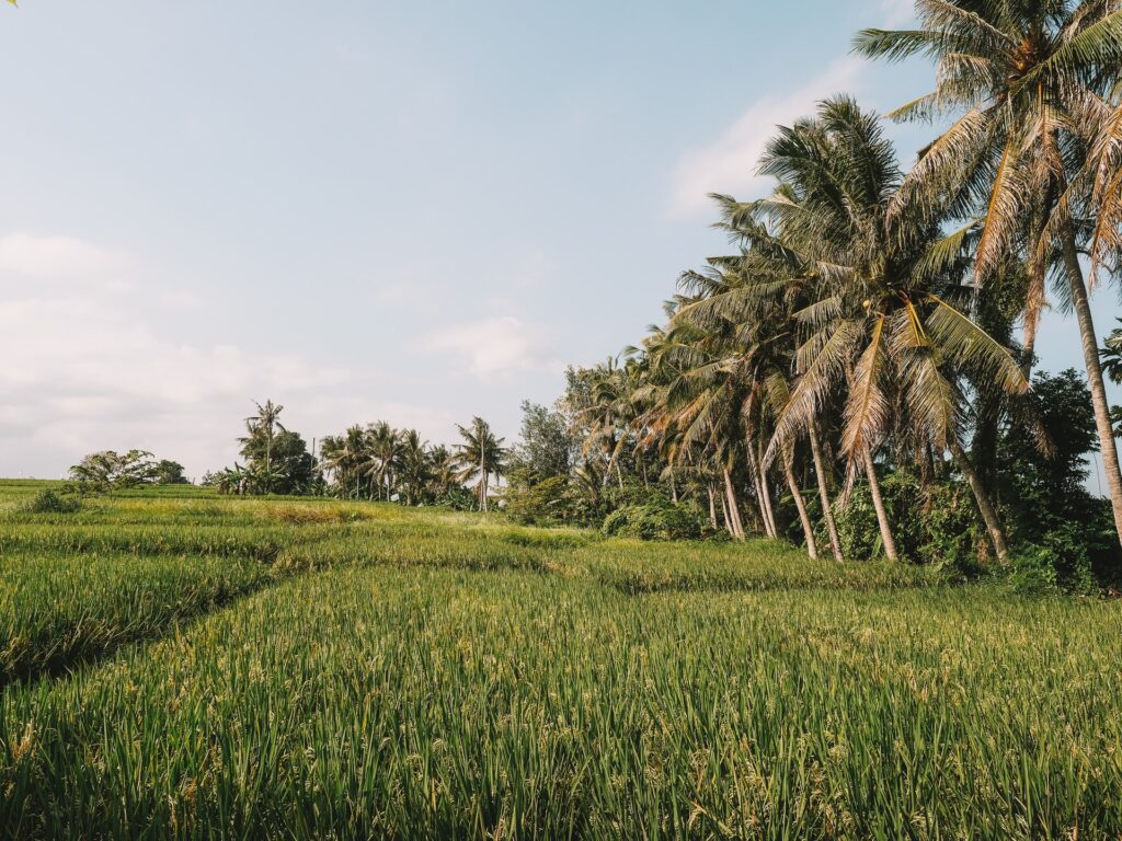 Offbeat Escapades - Where to Stay in Bali