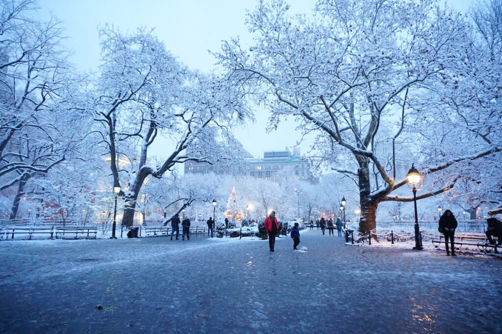 weather in new york in december