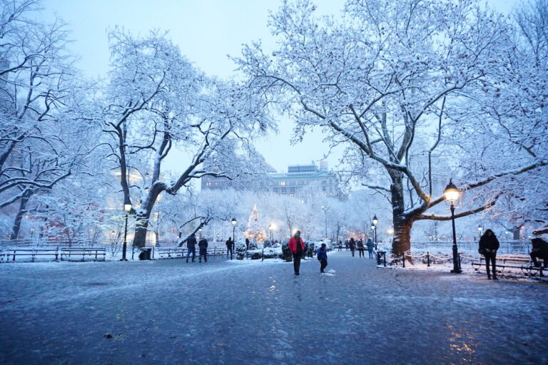 weather in new york during december