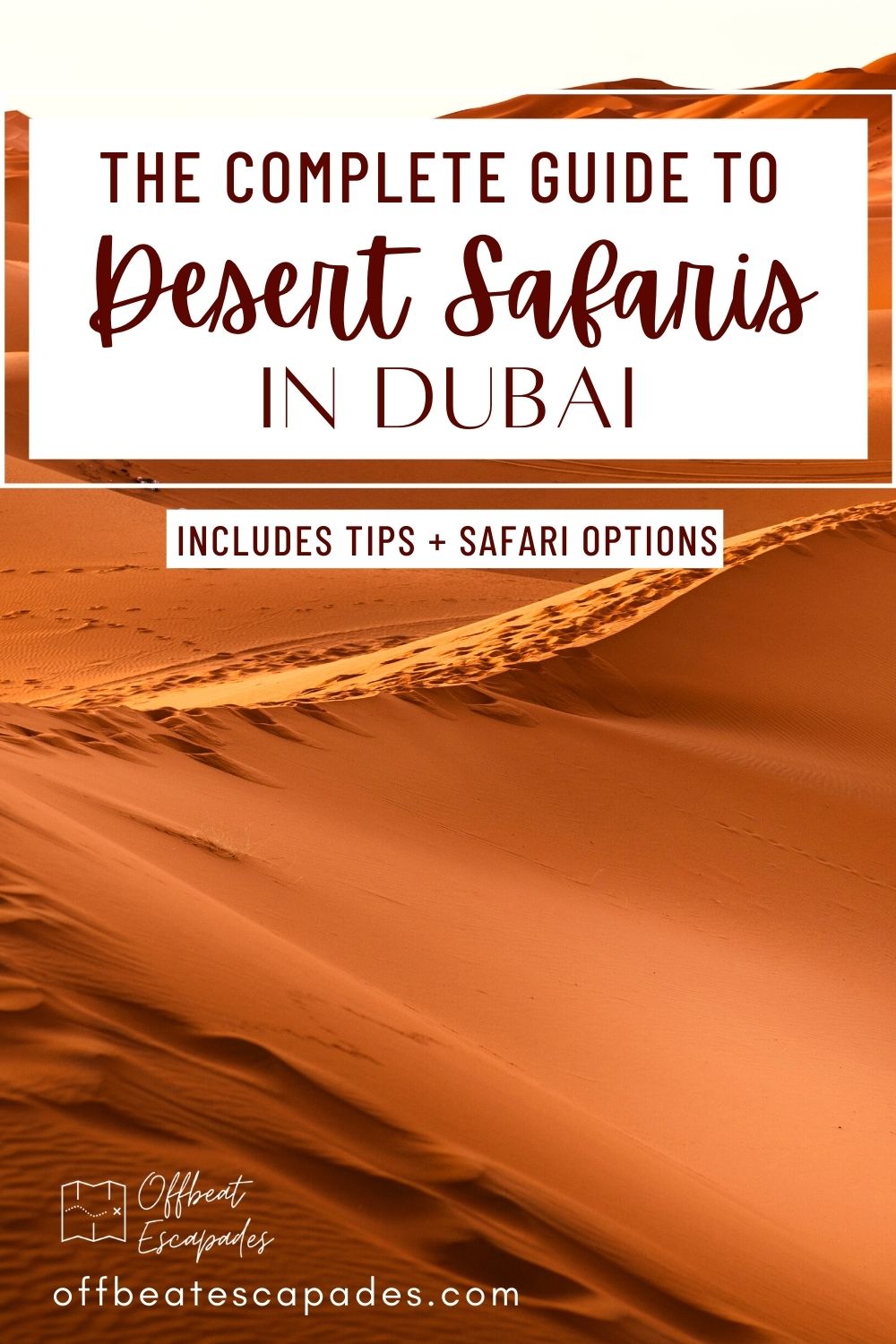 Ultimate Guide To Dubai Desert Safaris: All You Need To Know (2023 ...