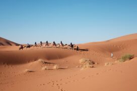 Offbeat Escapades – Dubai Desert Safaris 8