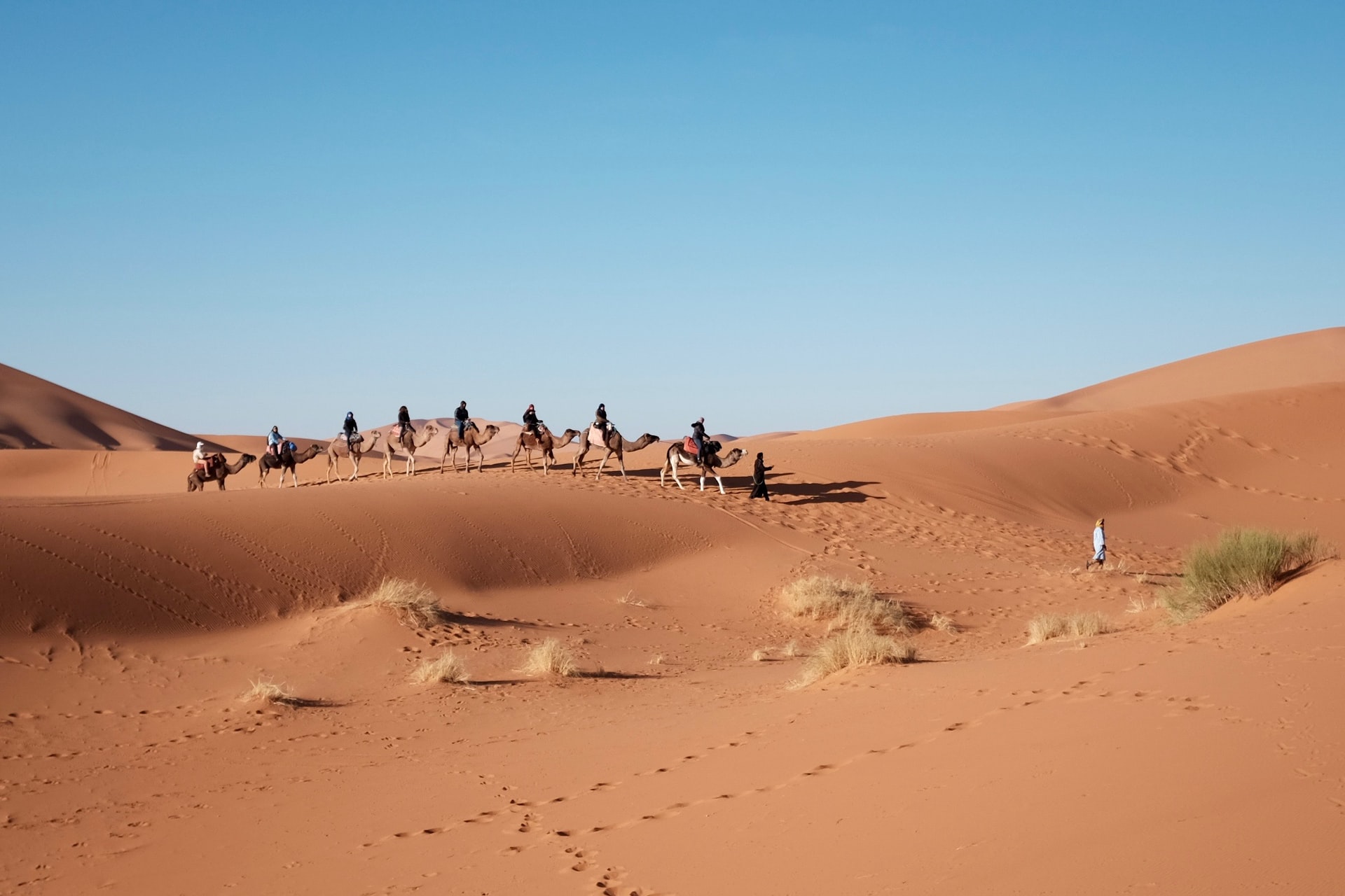 Offbeat Escapades - Dubai Desert Safaris 8