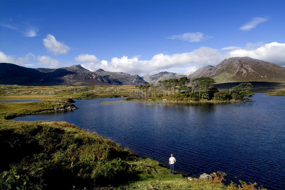 Wild Atlantic Way Highlights