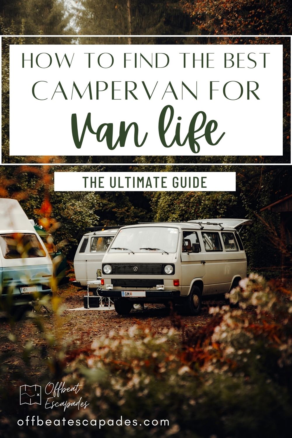 How to Choose A Campervan for the Best Van Life - Offbeat Escapades ...