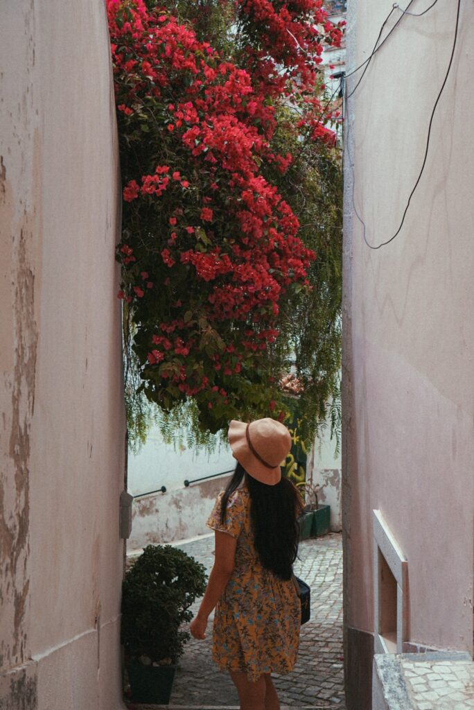 Alfama Lisbon